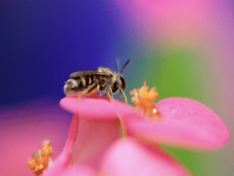 大龄妈妈试管优势试管移植后人乏力试管最好胚胎数值